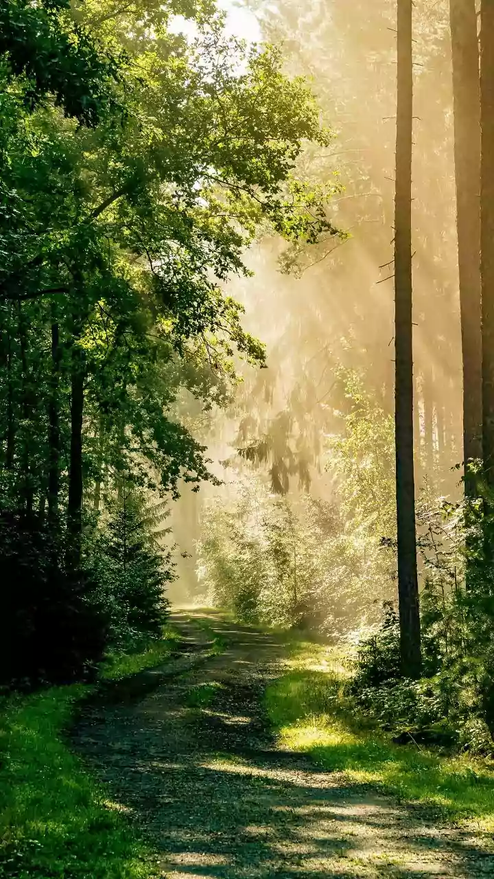 Unlocking Your Inner Gift: 7 Spiritual Signs