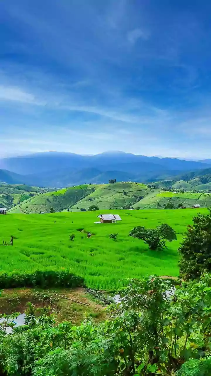 Young travellers plan eco friendly Ziro Valley trips with valid Inner Line Permits