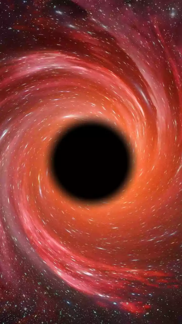 Unveiling the Origins of Black Holes: JWST's Discoveries