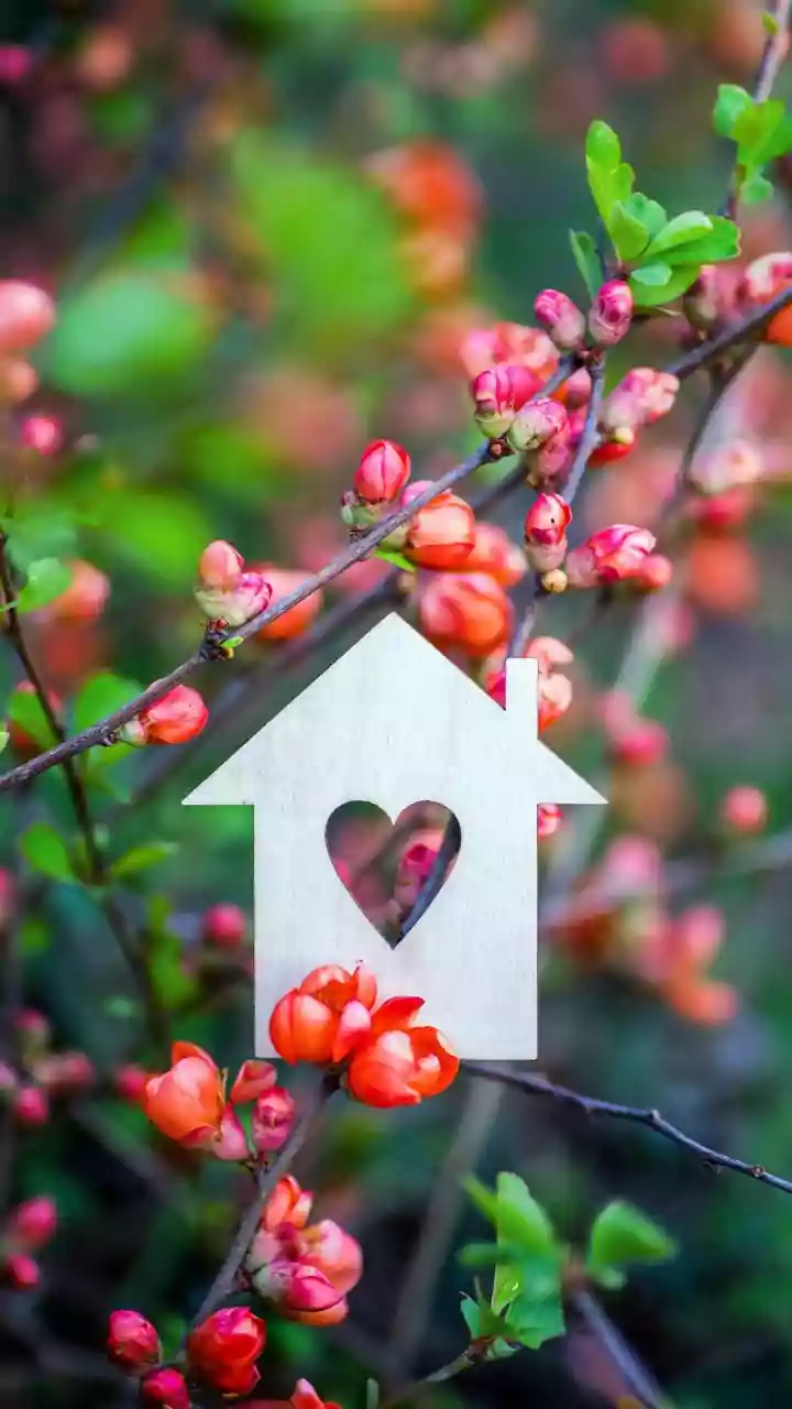 Mother's Day 2026: Beyond Gifts, A Day for True Appreciation and Understanding