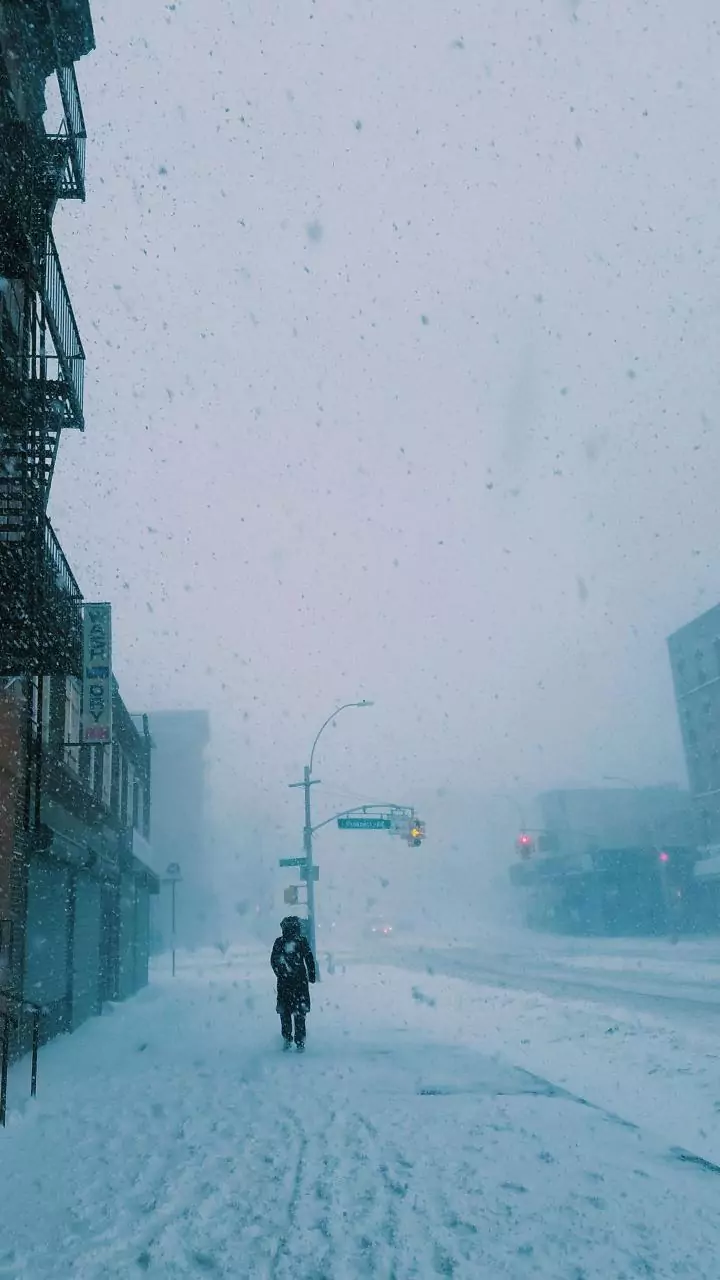 Snowfall disrupts life in Jammu's higher reaches; rains break long dry spell in plains