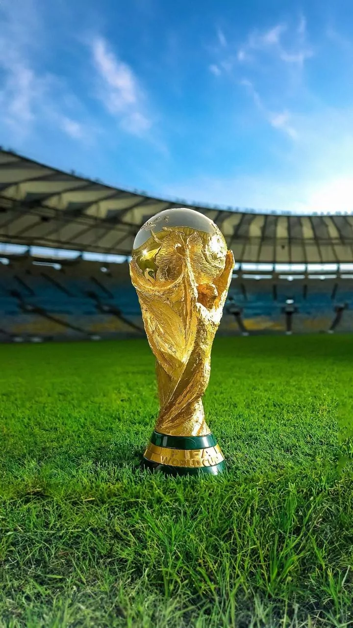 Como é feito o gramado dos estádios da Copa do Mundo 2026