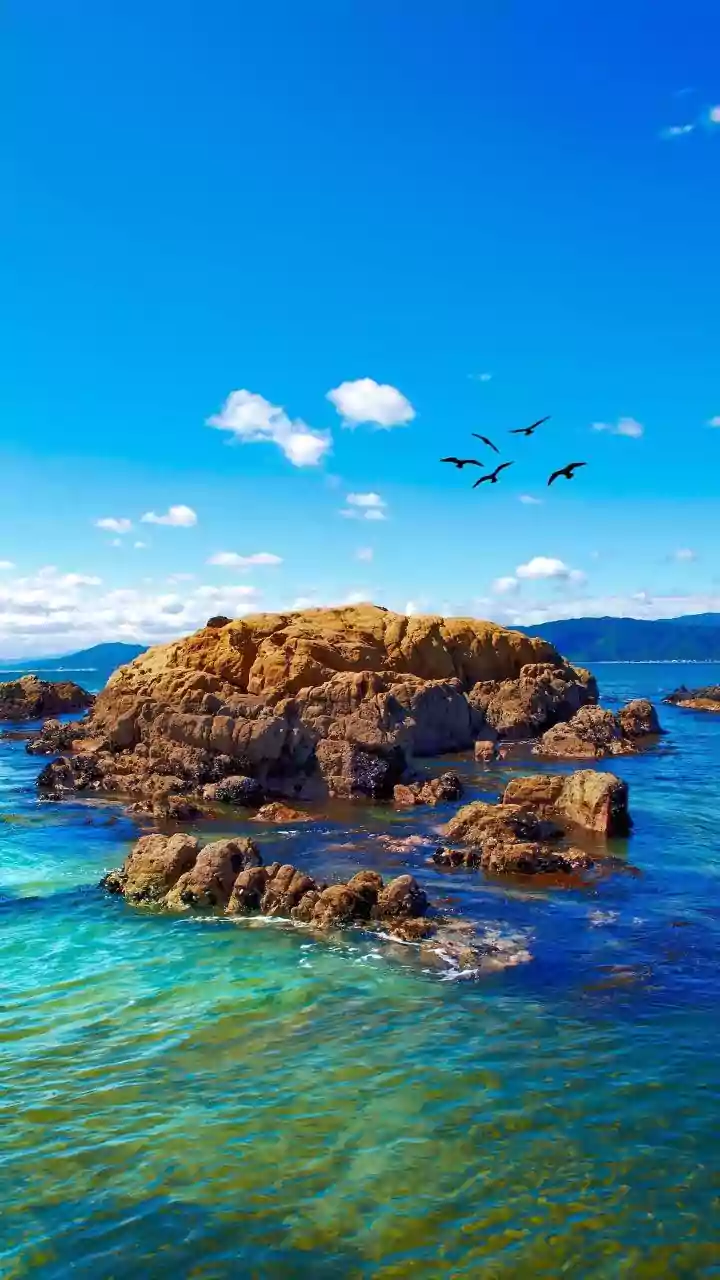 Rottnest Island: Surga Tersembunyi Western Australia Menanti Petualangan Anda