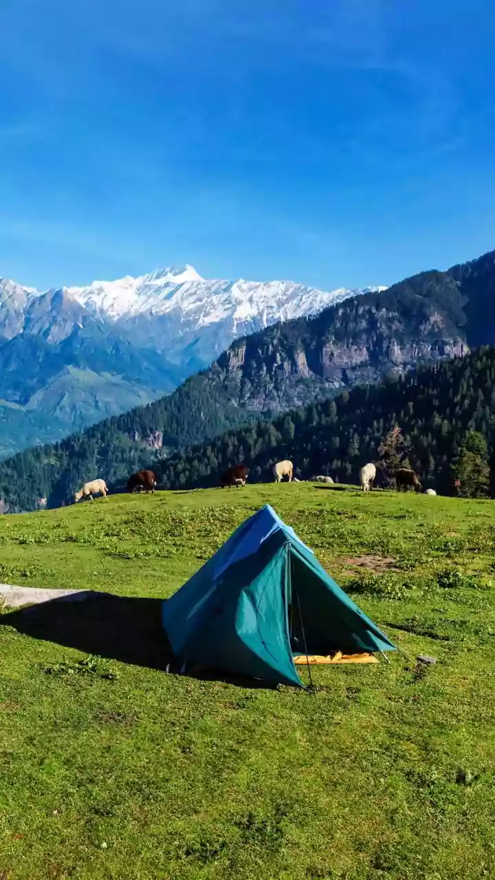 Bir Billing on a Shoestring: Your Ultimate Budget Travel Guide