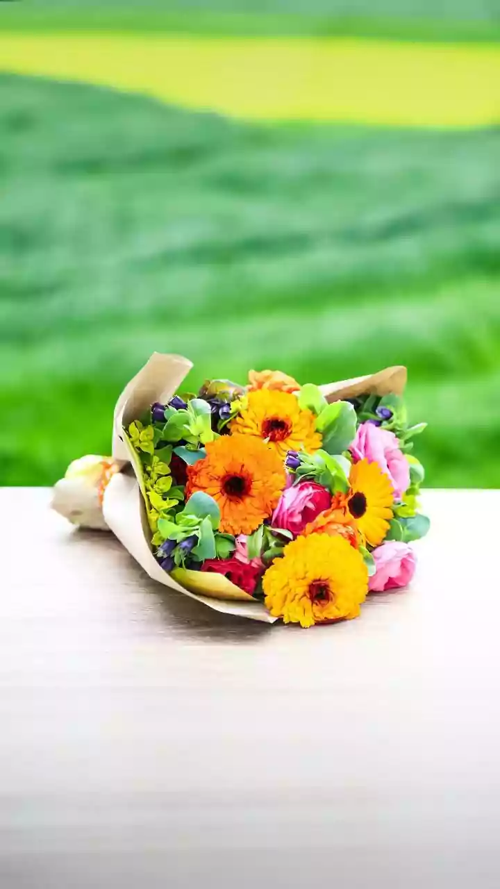 Easter 2026: Spreading Joy with Wishes, Quotes, and Messages