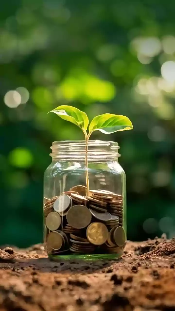 SAT lets Avadhut Sathe Trading Academy use frozen funds (for now)