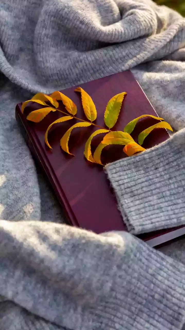 How winter fabrics shape mood and emotional comfort