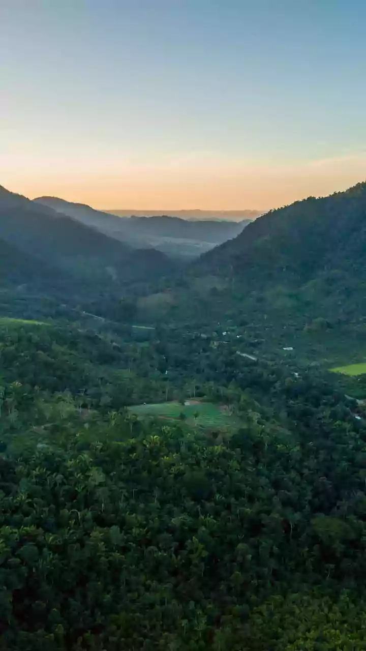 How Bamboo Treehouses And Rain Harvesting Create Sustainable Wayanad Escapes