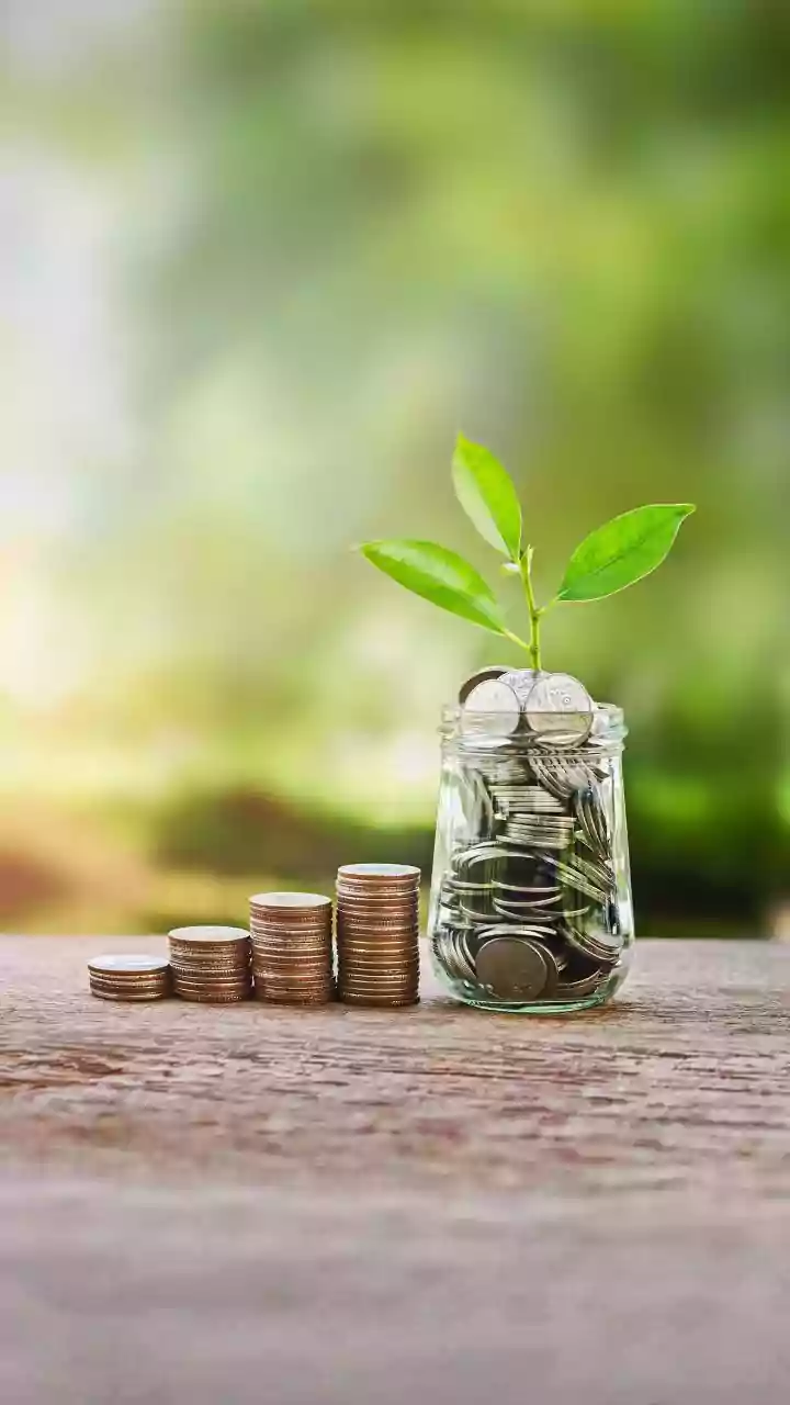 One FD Or Many? Where Should You Invest Rs 7 Lakh For Better Returns And Safety