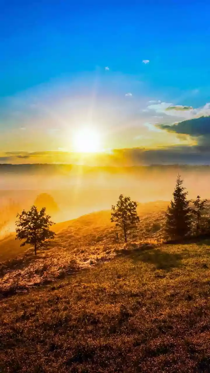 Why Early Morning Daylight Is The Best Natural Fix For Fog