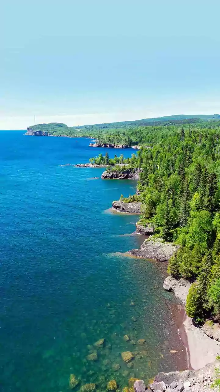 Five Swedish Destinations for Responsible Wildlife Watching across Forests and Coasts