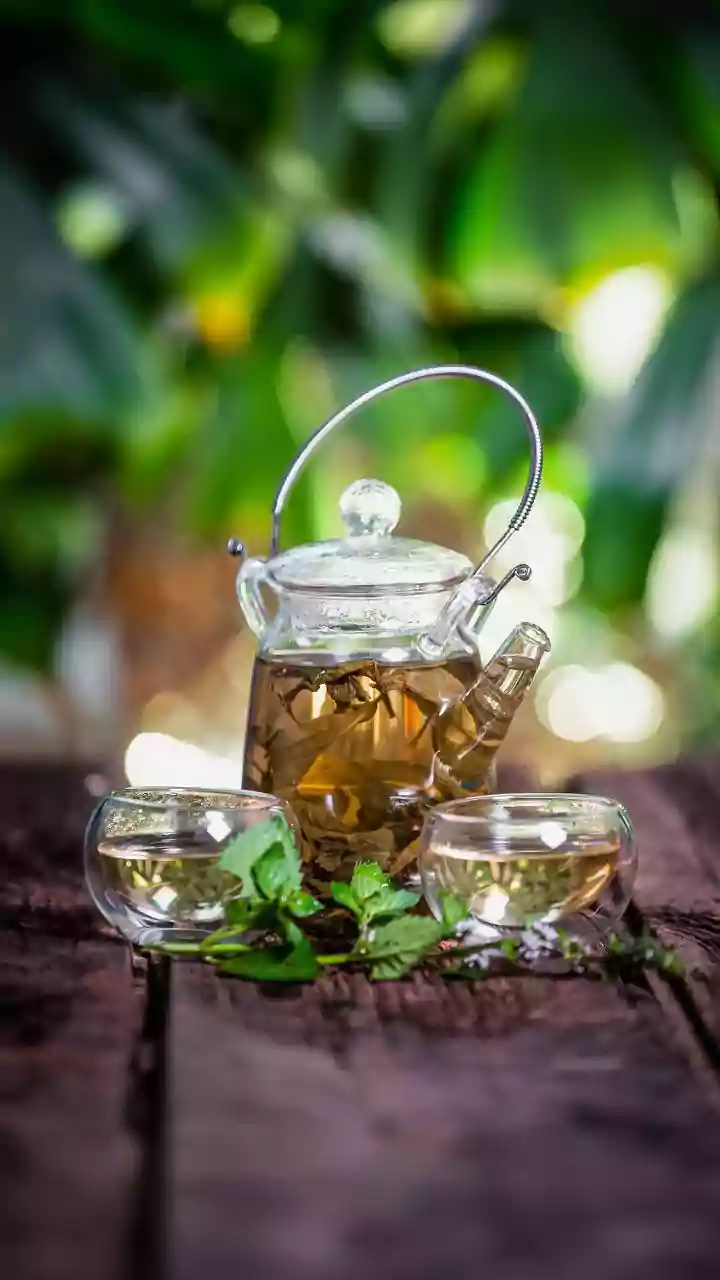 Garden Tea Party Success Starts with Location and Comfort for Birthdays or Friend Gatherings
