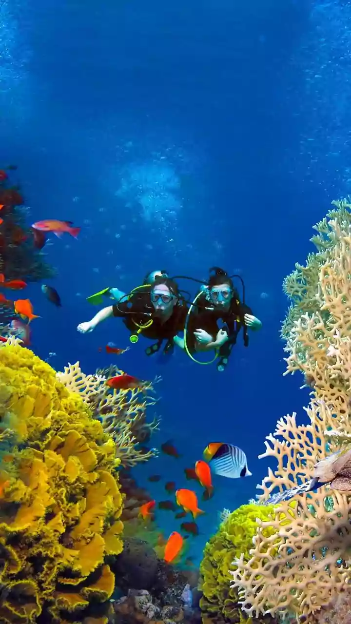 Top scuba diving destinations in India for thrilling summer adventure