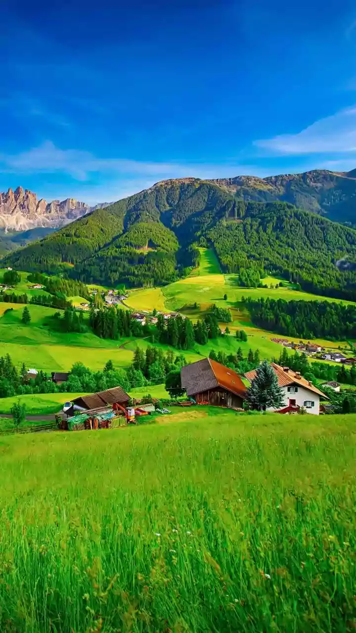 Find True Happiness: New Study Says Simple Living Trumps Wealth, Not More Stuff!