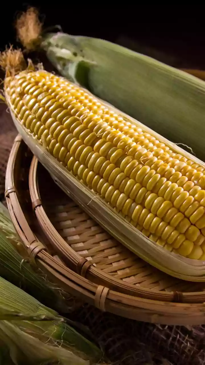 Ditch Toxic Clay Litter For Sustainable Corn Husk Pet Bedding