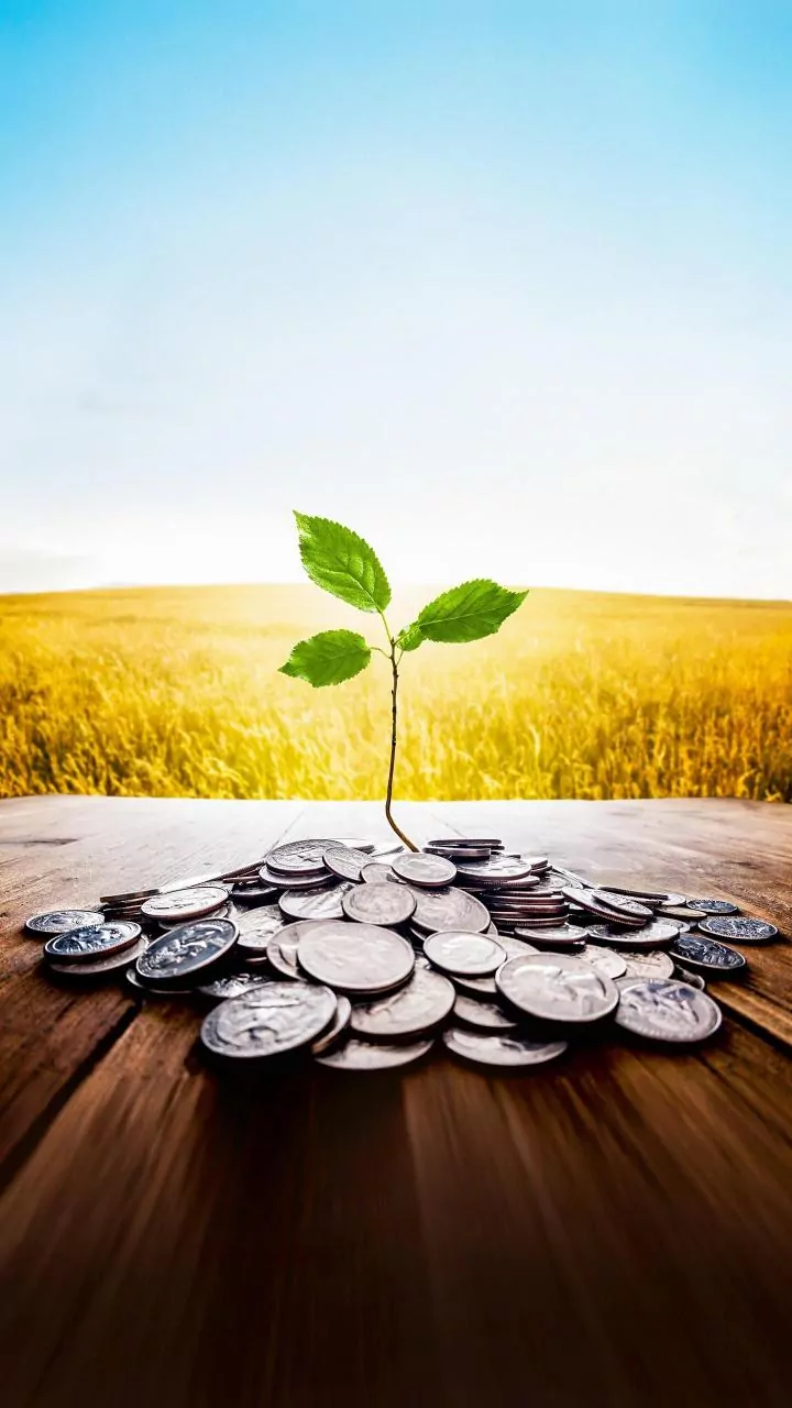 India's Shifting Economic Landscape: New Opportunities