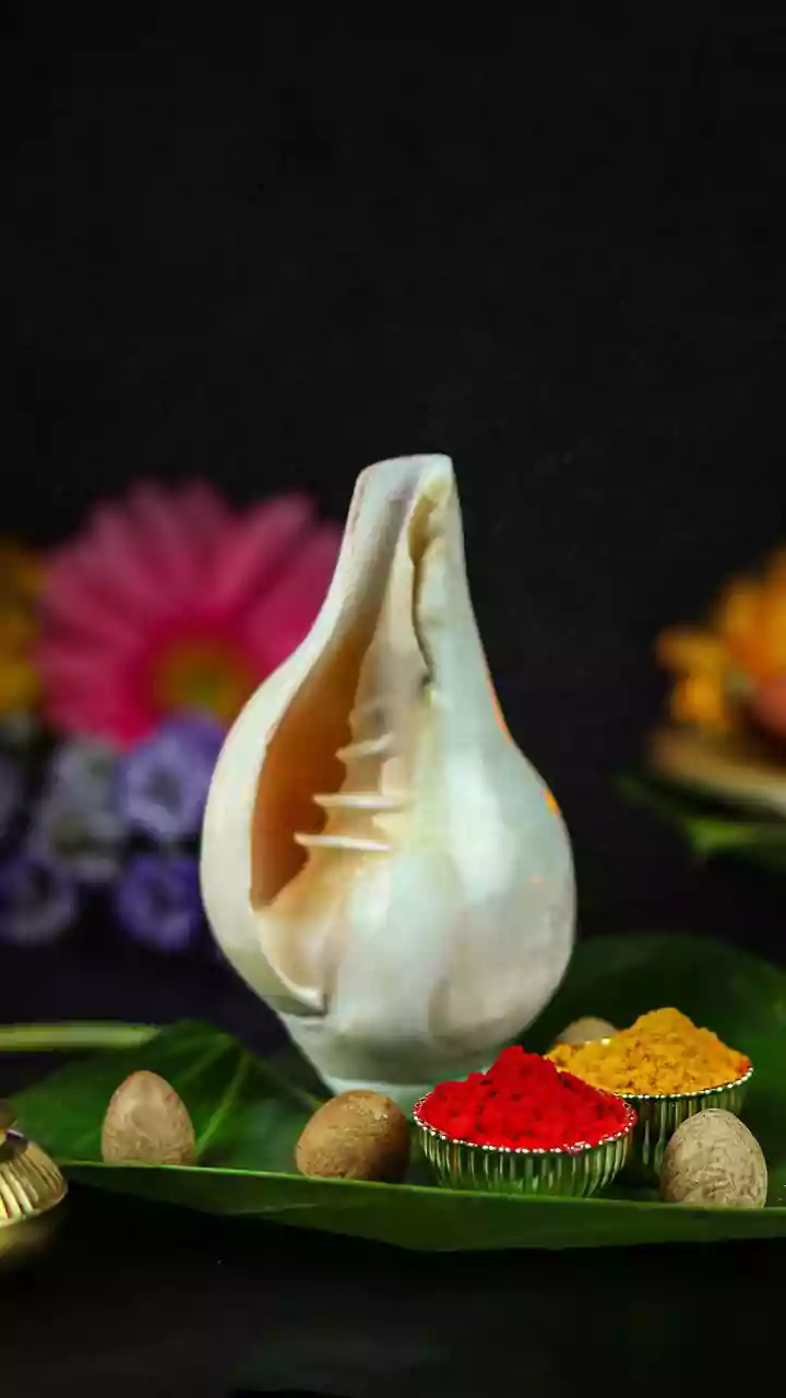 Nirjala Ekadashi Is About Discipline And Hydration