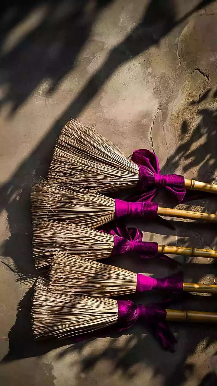 Mizoram govt to start procurement of ginger, broomsticks from Feb 2: CM