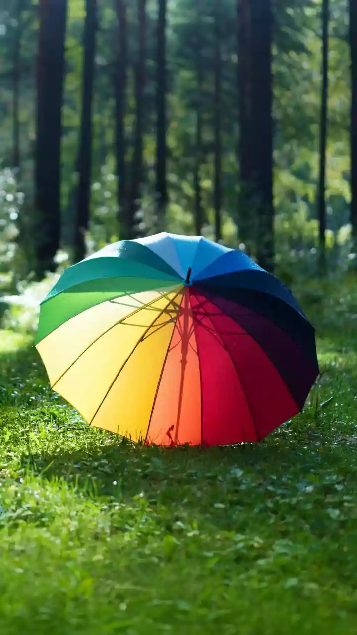 India to experience above-average temperatures in September; rainfall likely below normal