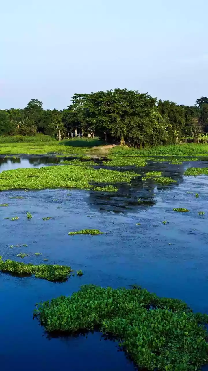 India's Latest Ramsar Addition: Why Attention Is Turning To Water And Climate Security