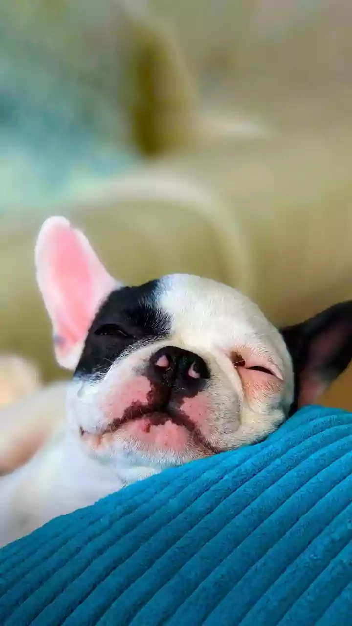 Você está descansando errado? 7 sinais de que seu corpo pede uma pausa de verdade