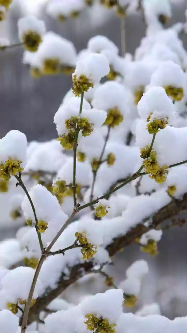 8 Traits: Cultivating Mental Fortitude