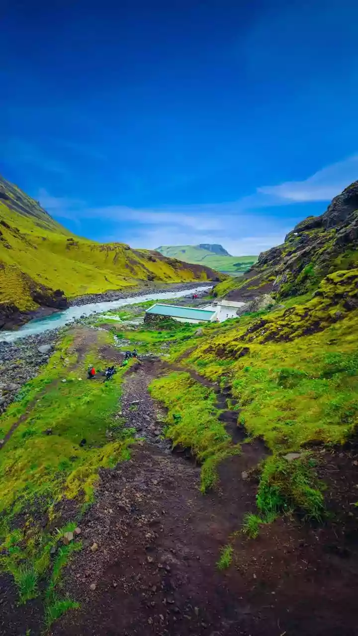 A 58% Wolf Increase Draws Visitors to Europe's Remote Landscapes
