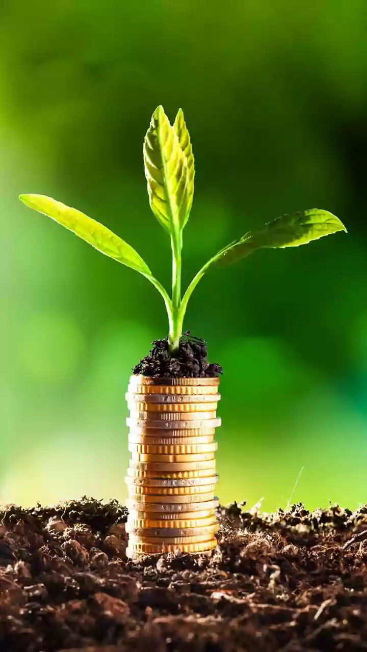 Govt Disburses Rs 21689 Crore Under PLI Schemes