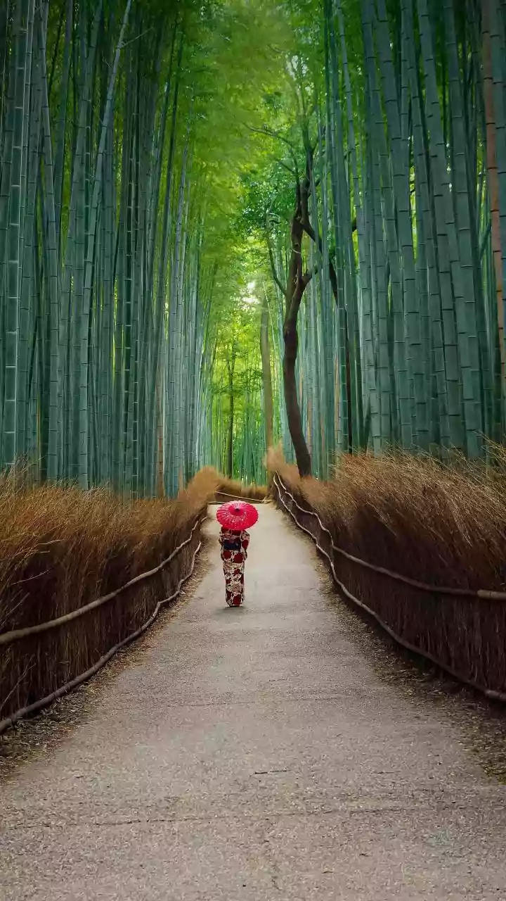 Japanese Walking: The Gentle Revolution in Fitness for Modern Life