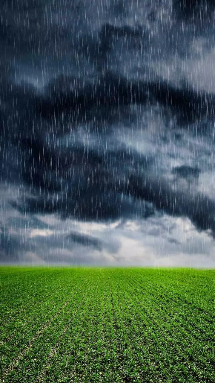 Western disturbance to bring rain to parts of Rajasthan from Saturday