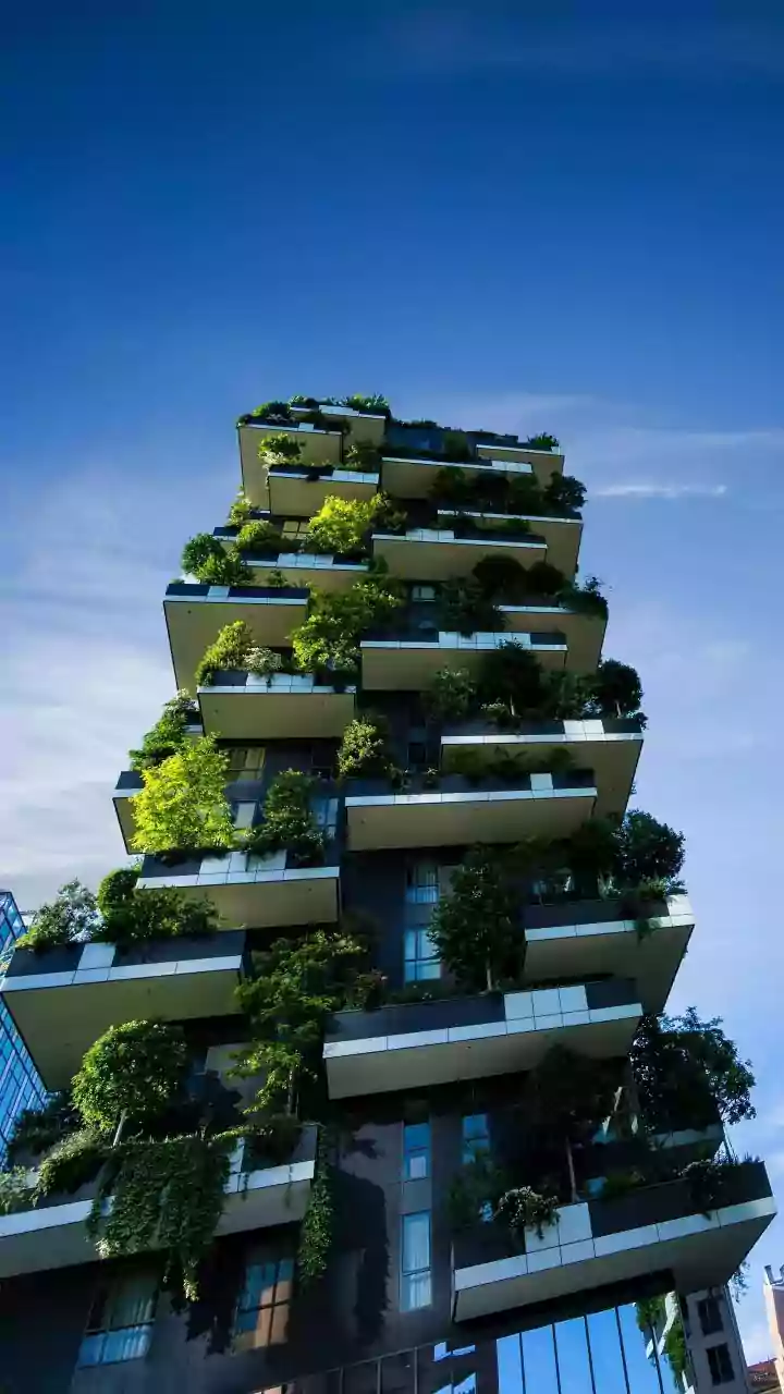 Why Access to Green Space Is Becoming an Important Urban Quality-of-Life Issue