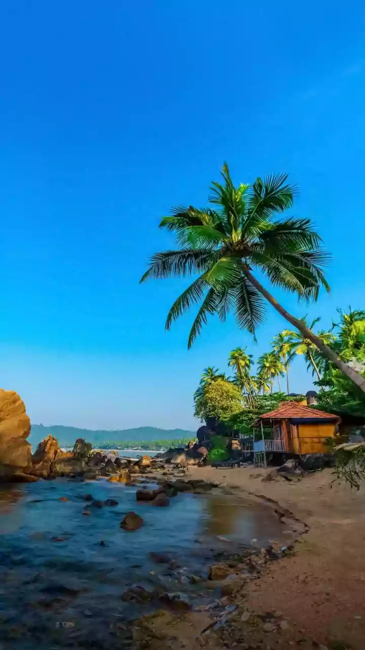 India's Coastal Charms: Unveiling Top Beach Getaways for Every Traveler
