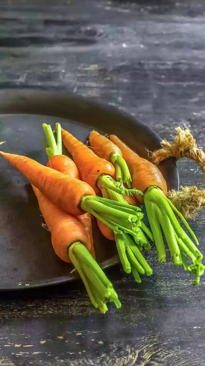 Veja dicas para cultivar cenoura em vaso