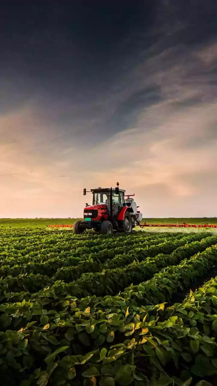 Farm-to-Fork Data Could Support Quicker Action on Food-Safety Failures