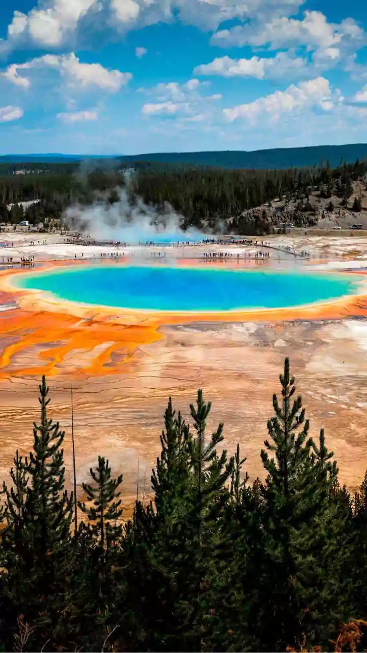 Yellowstone's Grandeur: Expert Tips to Avoid the #1 Traveler Pitfall