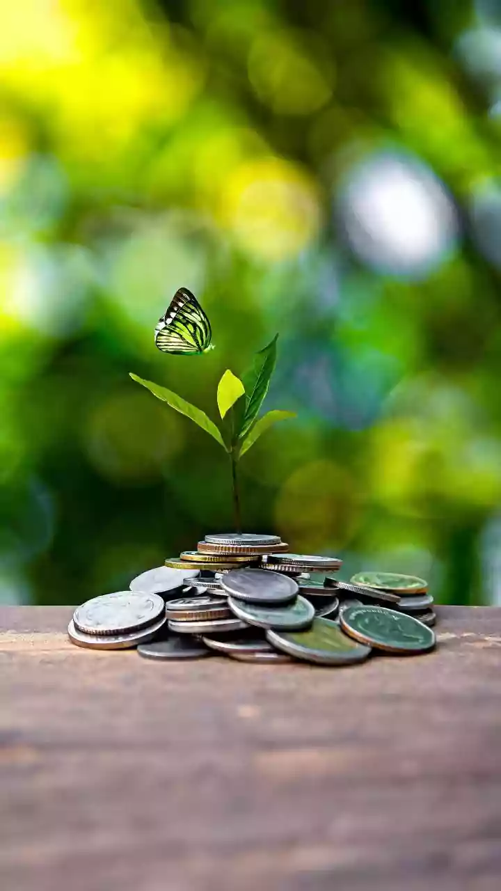 Mid-Cap And Small-Cap Fund Inflows Brings Portfolio Crowding, Risk And Asset Allocation Into The Spotlight