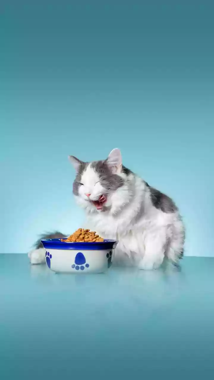 Toys, Grooming And Food Are Pet Cart Staples