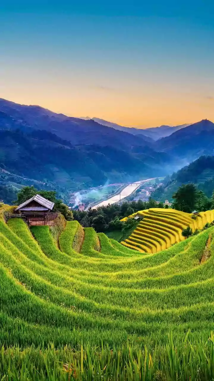 Top 10 Countries Embracing Vegetarianism: A Global View