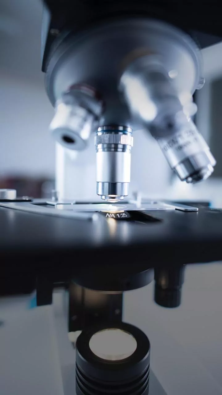 The Latest Research Into Looking Younger Explores Ageing Research Without Claiming A Cure