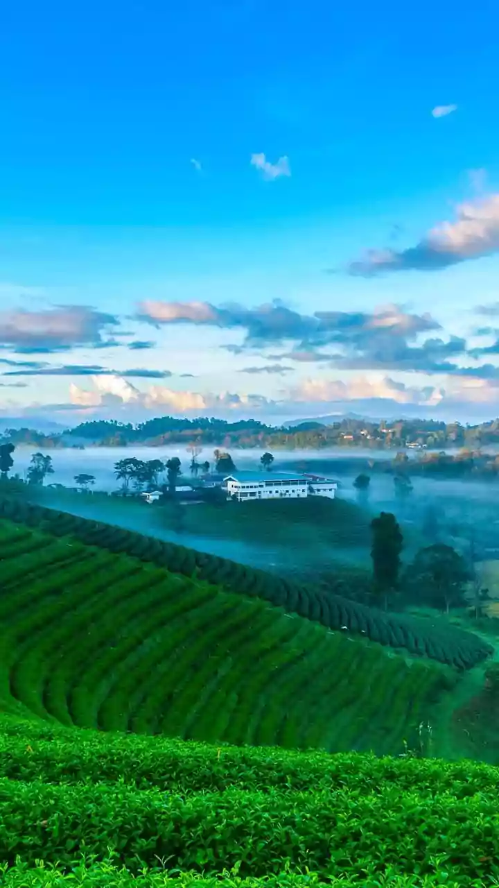 Coorg’s Fragrant Plantations Offer Ideal Setting For Winter Offbeat Vacation Away From Busy Cities
