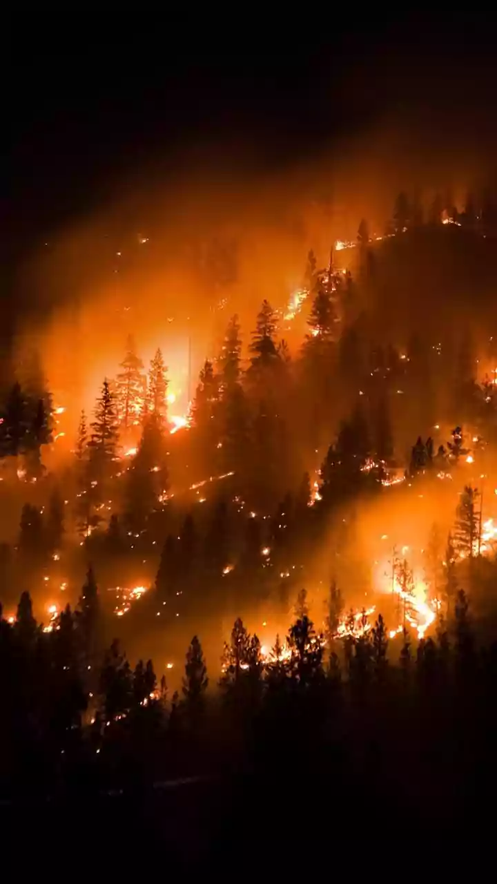 France's Fire Cloud Shows How Blazes Can Begin Making Weather