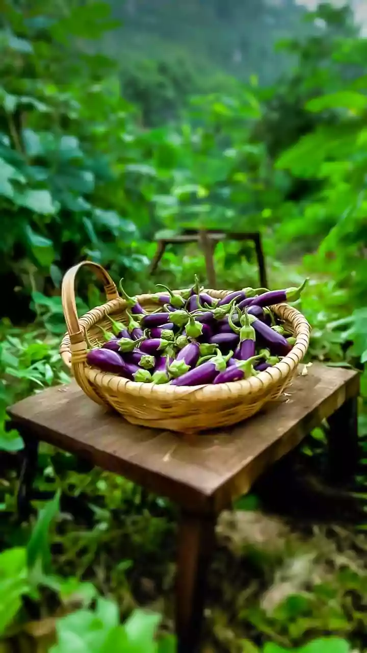 Unlock 'Prolific': Mastering Productivity and Creative Output