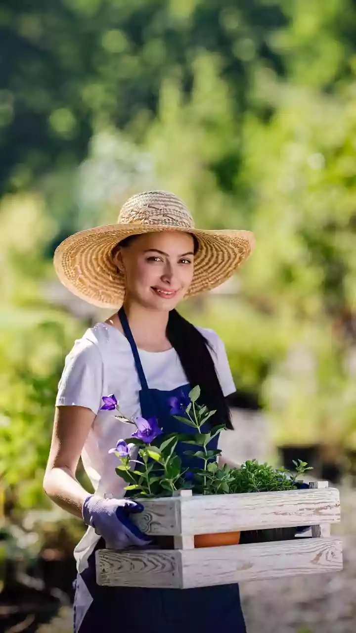 How To Apply Neem Oil And Soapy Water Sprays To Keep Home Gardens Pest-Free