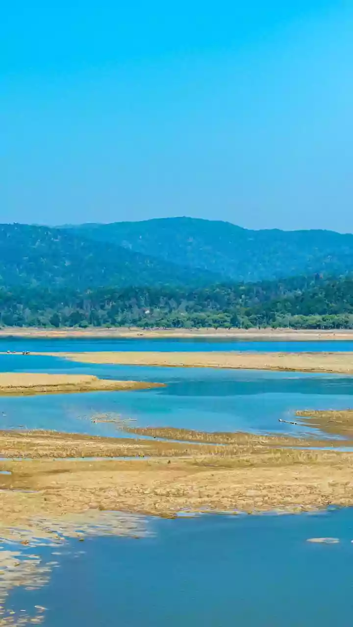 Odisha to implement 5-year integrated plan for development of Chilika lake