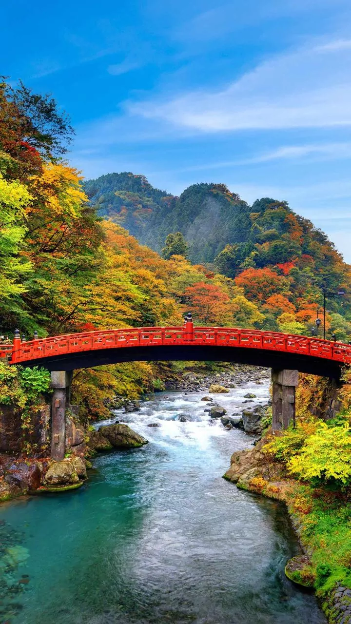 IRCTC Japan Holiday: A Look At The Flights, Hotels, Meals And Experiences Included