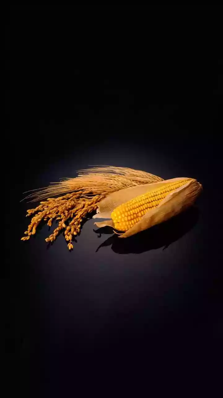 Why Eco-Conscious Pet Owners Love Corn Husk Waste Disposals Today