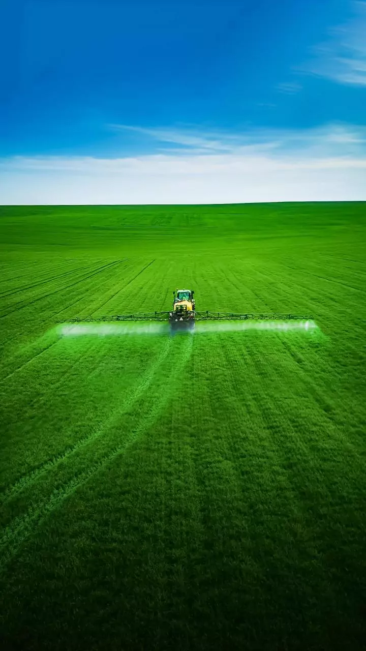 Cabinet approves Rs 37,952 cr subsidy for P and K fertiliser for 2025 rabi season