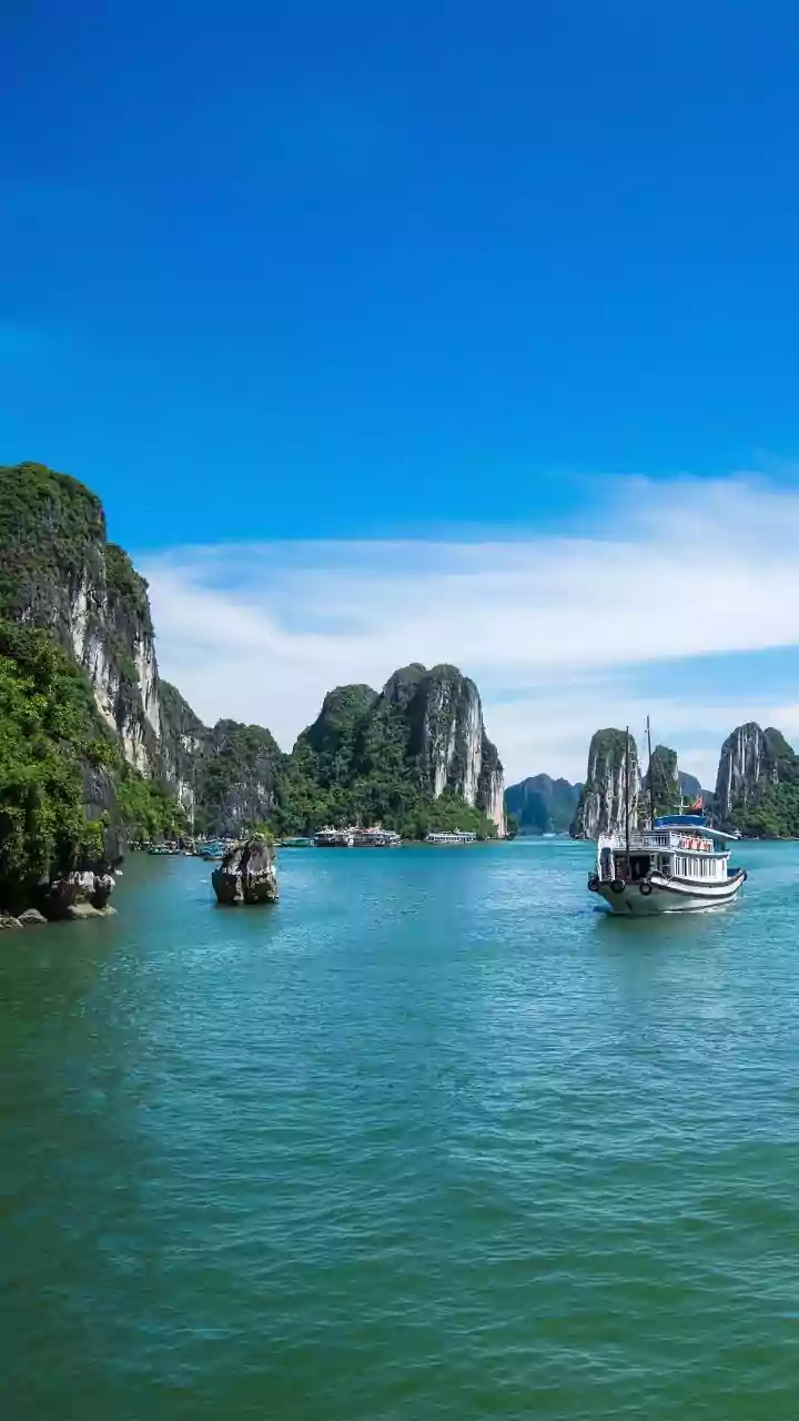 Vietnam Orders Detailed Probe Into Phu Quoc Boat Tragedy That Killed 15 Indians, Assures Strict Action