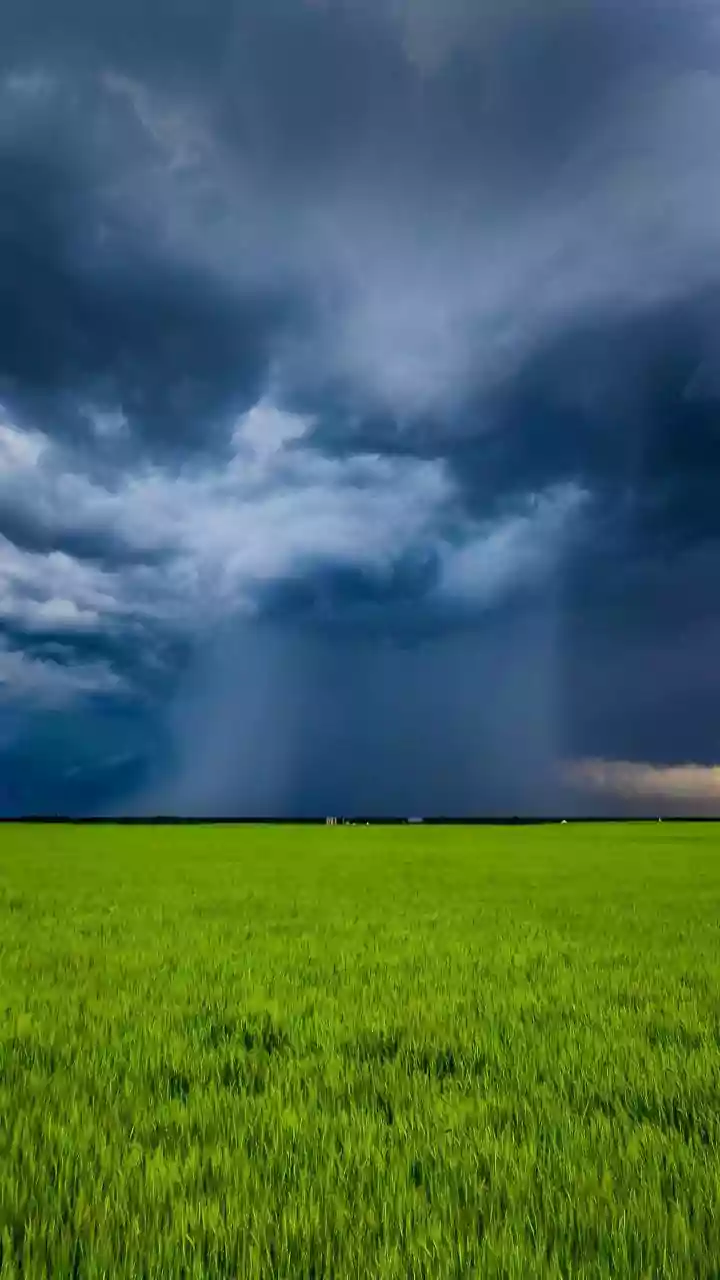 Tirunelveli records 95 pc rainfall surge despite TNs 3 pc monsoon deficit