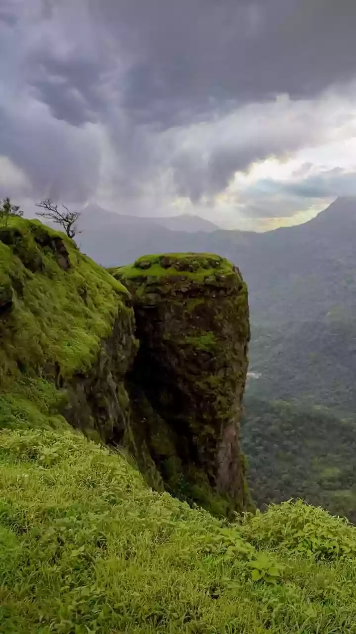 Monsoon Reopening Dates Can Be Staggered across Protected Areas